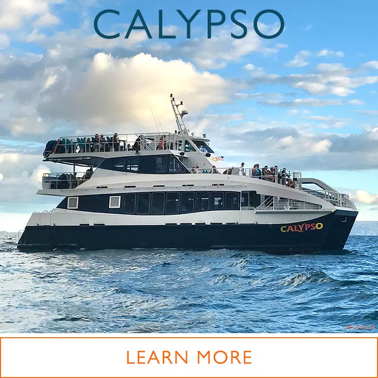 Calypso Snorkeling Molokini