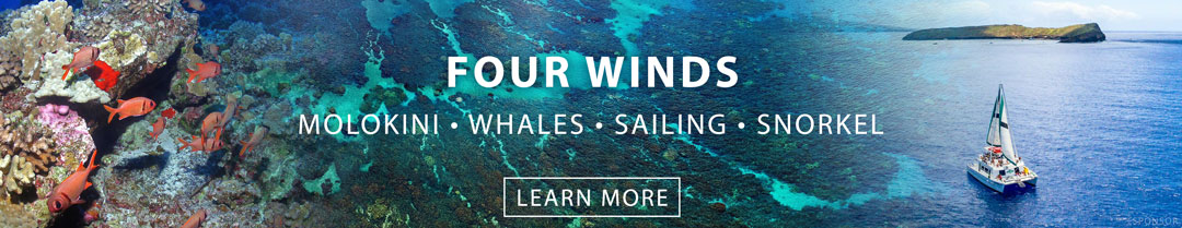 Four Winds Snorkeling Molokini