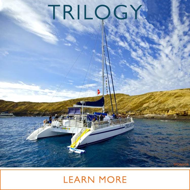 Trilogy Snorkeling Molokini